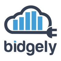Bidgely Company Logo
